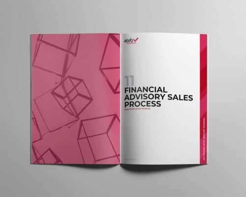 CM - S11 Financial Advisory Sales Process